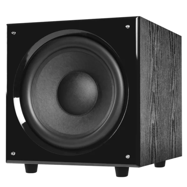 Aktivni 12-palčni nizkotonec 300 W RMS – črn